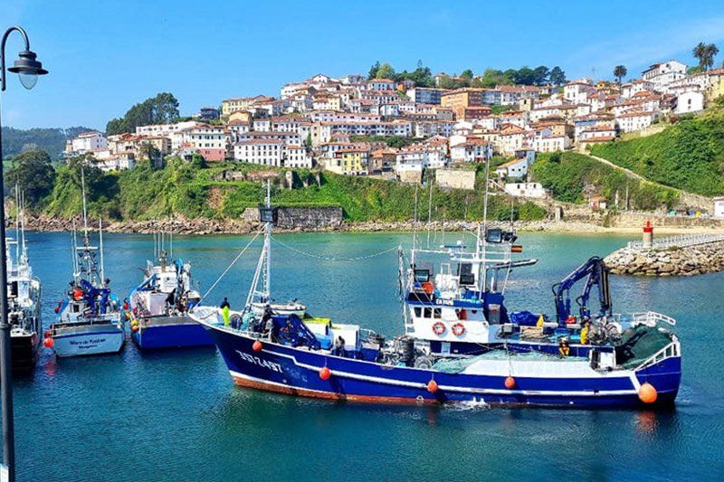 Turismo Hotel Asturias